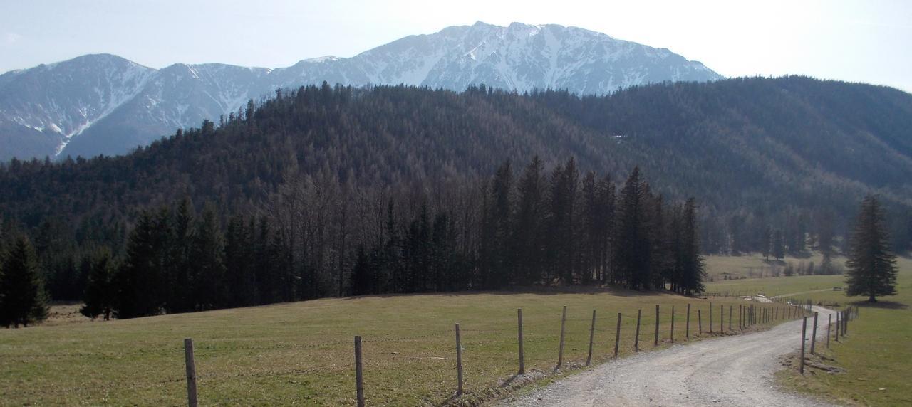 Ferienwohnungen Mamauwiese Gutenstein Kültér fotó