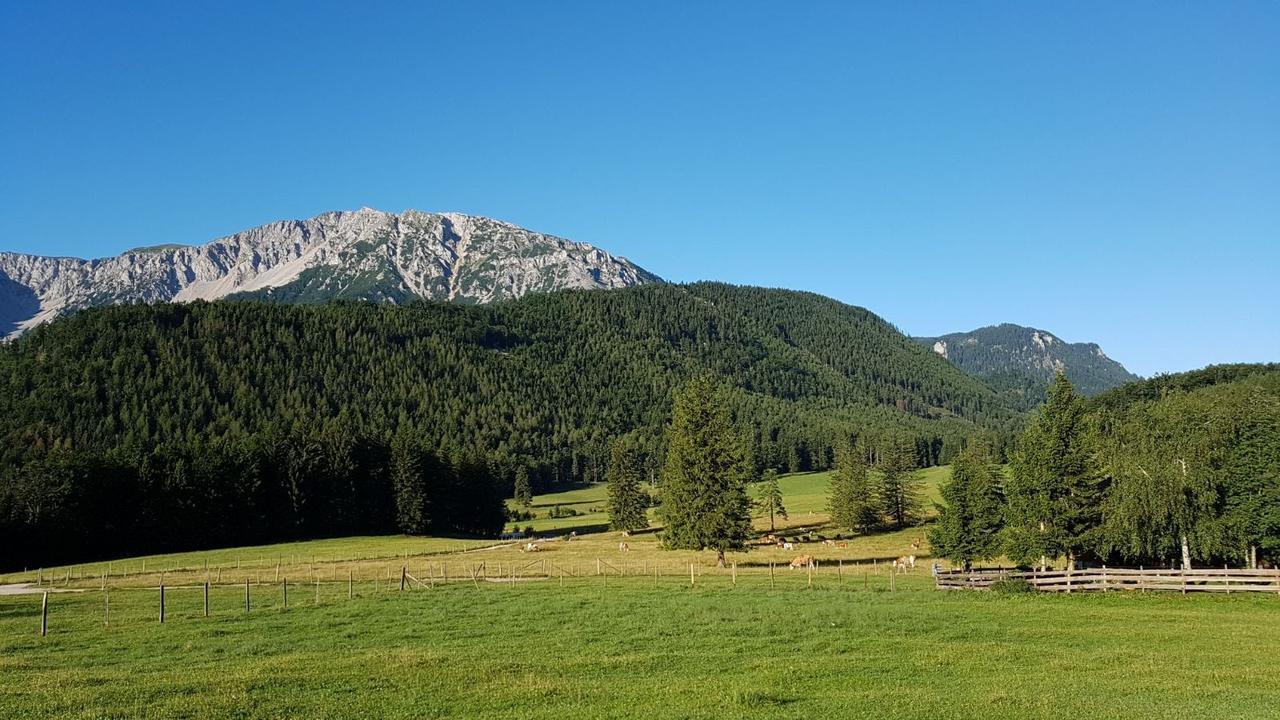 Ferienwohnungen Mamauwiese Gutenstein Kültér fotó