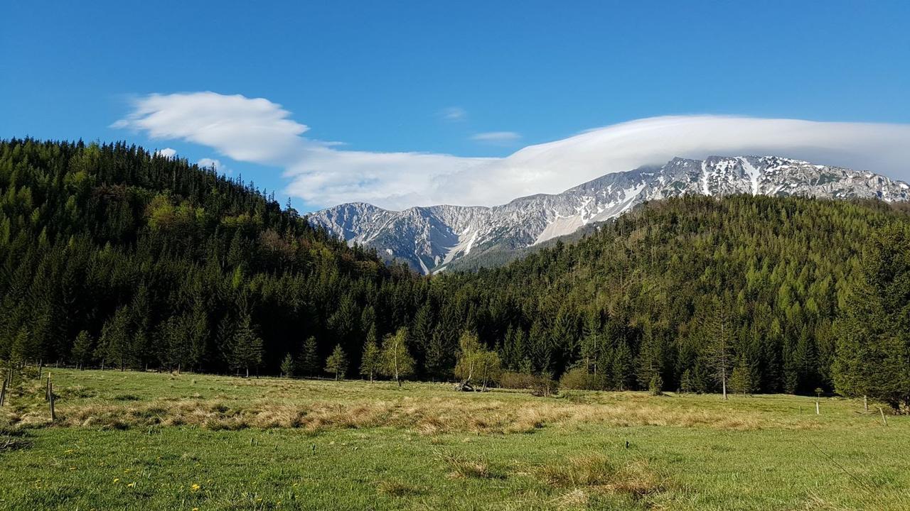 Ferienwohnungen Mamauwiese Gutenstein Kültér fotó