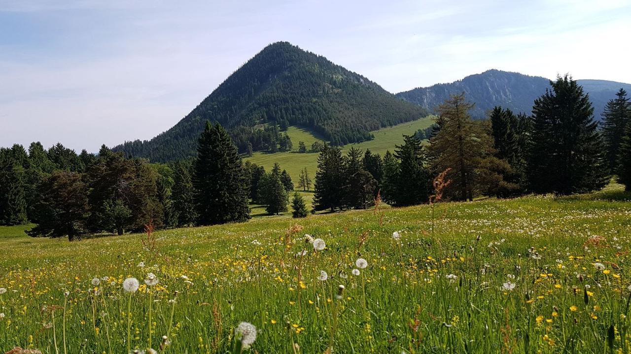 Ferienwohnungen Mamauwiese Gutenstein Kültér fotó