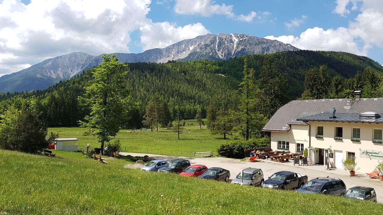Ferienwohnungen Mamauwiese Gutenstein Kültér fotó