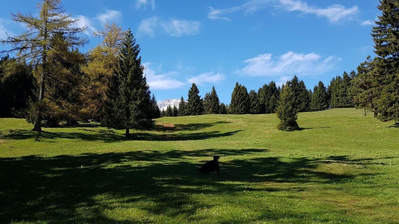 Ferienwohnungen Mamauwiese Gutenstein Kültér fotó